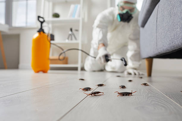 Commercial Rodent Management in Demorest